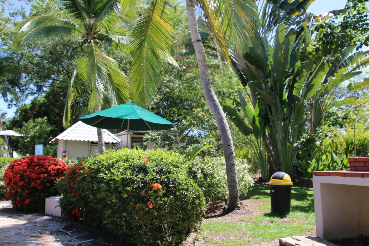 Tropical Bliss Pool Wi-Fi Bbq Near Quepos Manuel Antonio Lejlighed Eksteriør billede